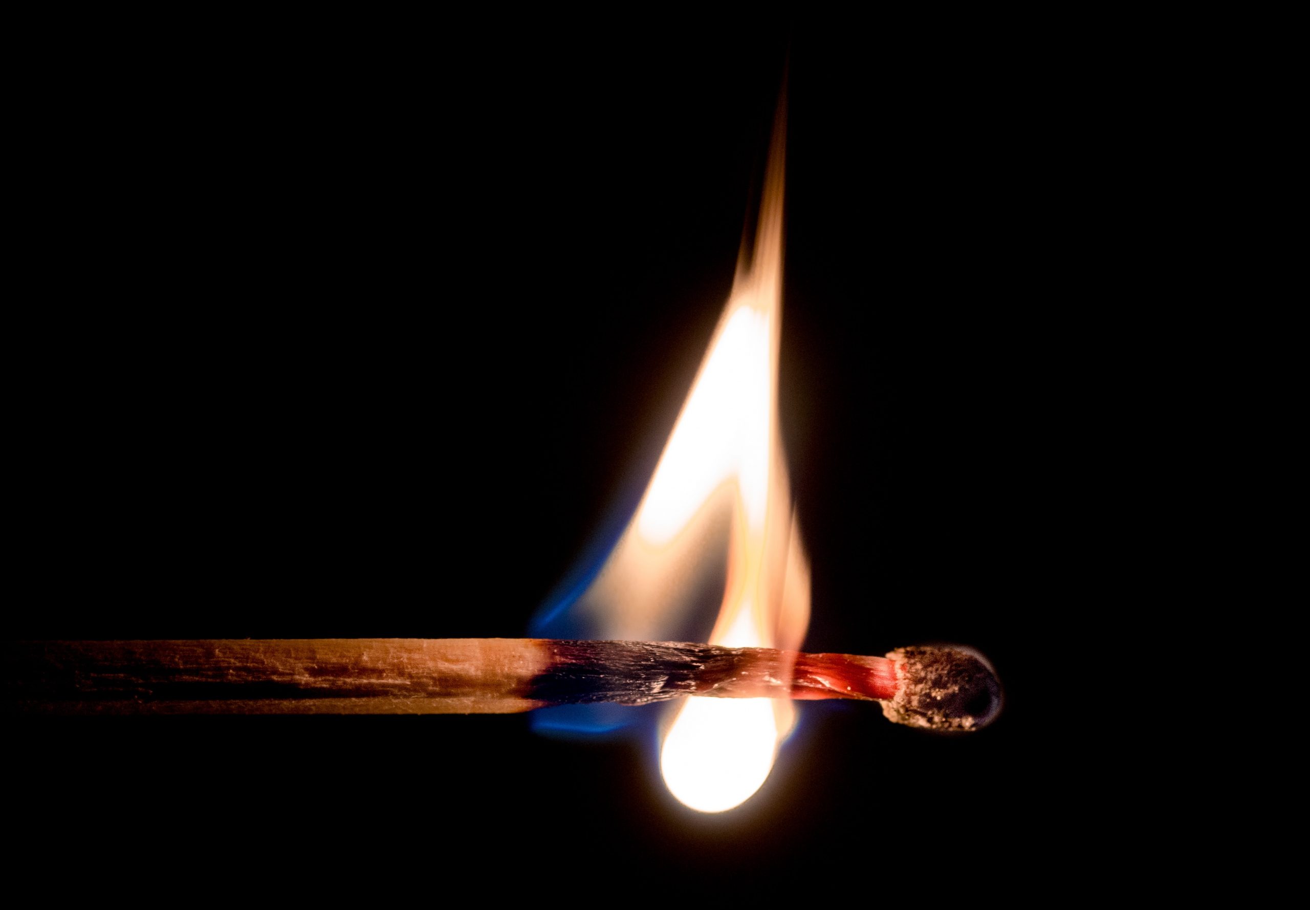 Burning passion or burnout