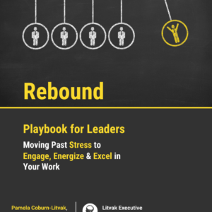 Rebound Leader's Playbook