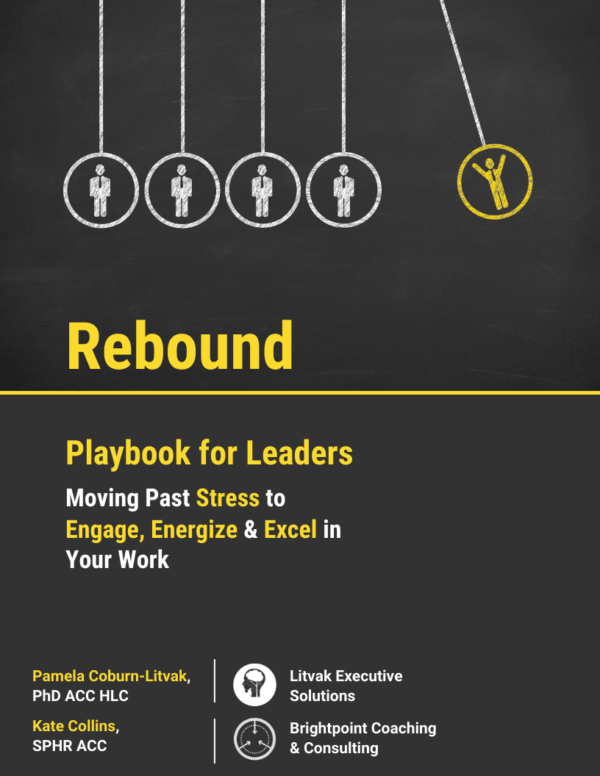 Rebound Leader's Playbook